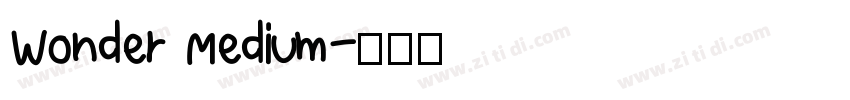 Wonder Medium字体转换